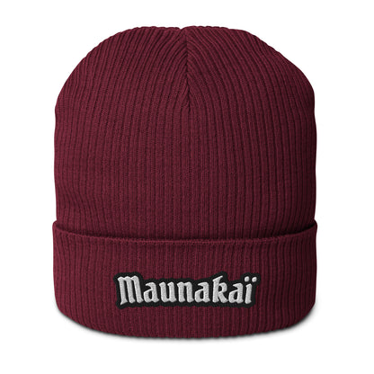 Le Bonnet n°1 pour Femme