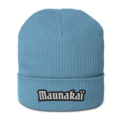 Le Bonnet n°1 pour Femme
