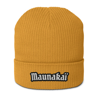 Le Bonnet n°1 pour Homme