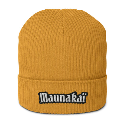 Le Bonnet n°1 pour Femme